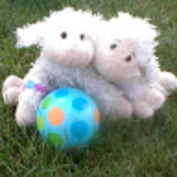 Meet your Posher, Sweet heart & - Picture 1 of 1